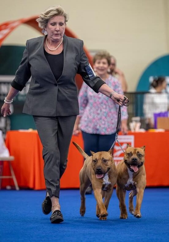 2025 UKC Premier Nationals at Kalamazoo County Fairground.

Kalamazoo, Michigan - Wednesday, June 11, 2025 2:11 PM.

Frame: ZZZ8974.
Photo Credit: Chris Davis - ClicksByChris.com